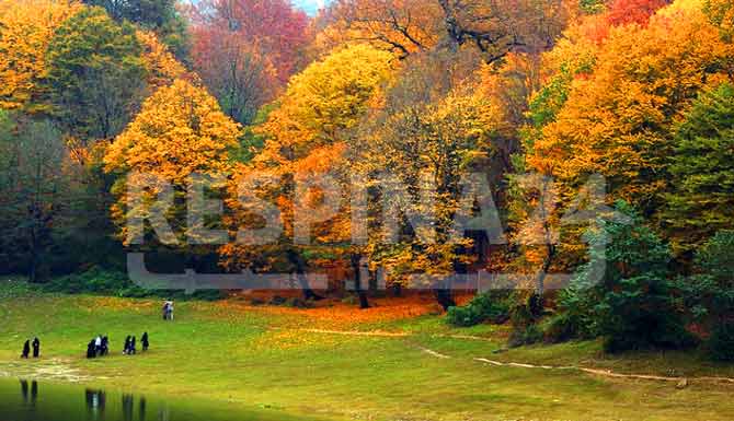 تور مسافرتی گرگان , خرید تور مسافرتی گرگان تور مسافرتی گرگان-رسپینا 24